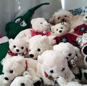 Meet your Posher, Misty